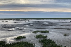 IMG_1668