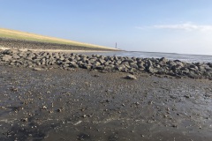 ebbe2