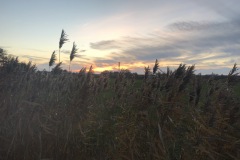landschaft2